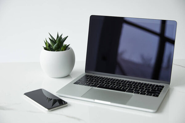laptop and smartphone with blank screen, and flowerpot isolated on grey