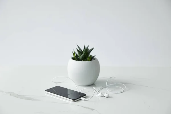 Smartphone Blank Screen Wired Earphones Flowerpot Isolated Grey — Stock Photo, Image