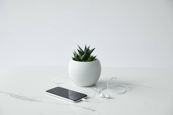smartphone with blank screen, wired earphones, and flowerpot isolated on grey