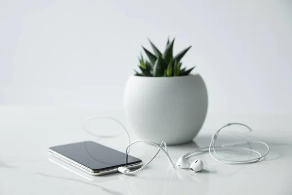 Selective Focus Smartphone Earphones Flowerpot Isolated Grey — Stock Photo, Image