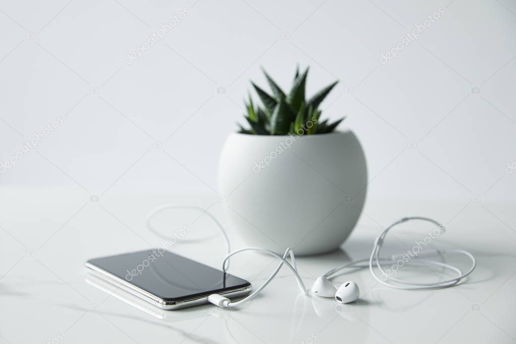 selective focus of smartphone with earphones and flowerpot isolated on grey