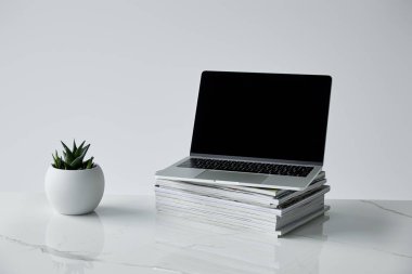Dergi yığını üzerinde laptop ve gri izole saksı