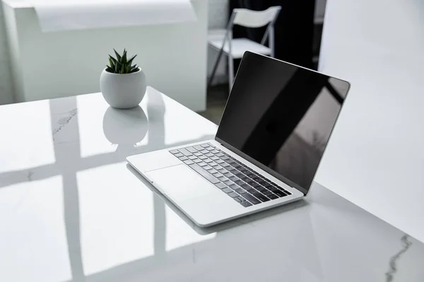 Laptop Mit Leerem Bildschirm Und Blumentopf Auf Weißem Marmortisch — Stockfoto