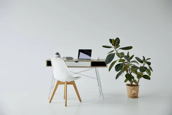 灰色の背景の植木鉢のラップトップおよび本 白い椅子および植物が付いているテーブル — ストック写真