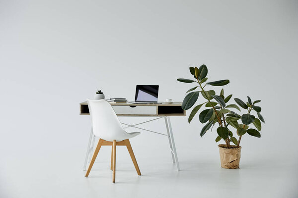 table with laptop and books, white chair and plant in flowerpot on grey background