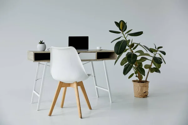 桌子与笔记本电脑 白色的椅子和植物在花盆在灰色 — 图库照片
