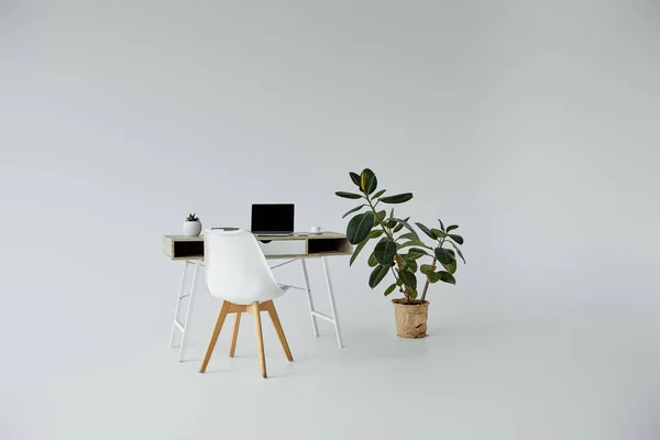桌子与笔记本电脑 白色的椅子和植物在花盆在灰色背景与复制空间 — 图库照片