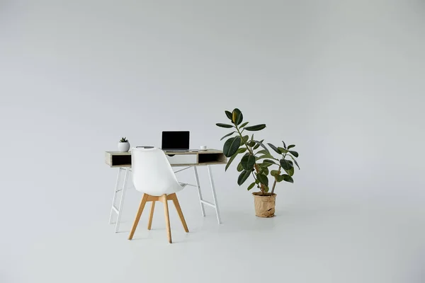 Tafel Met Laptop Witte Stoel Planten Bloempot Grijze Achtergrond Met — Stockfoto