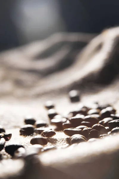Selektivní Zaměření Pražených Kávových Zrn Texturu Skacké Látky — Stock fotografie