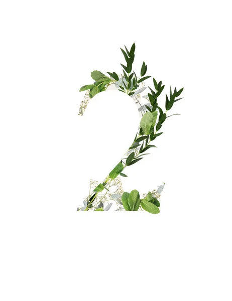 Αριθμός Λευκά Άνθη Και Πράσινα Φύλλα Που Απομονώνονται Λευκό — Φωτογραφία Αρχείου