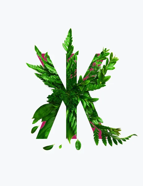 Kyrillischer Buchstabe Mit Grünen Hellen Blättern Auf Weißem Hintergrund — Stockfoto