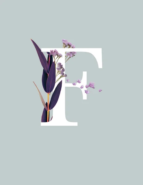 white letter F with purple wildflowers and leaves isolated on grey