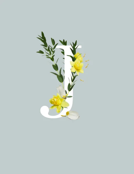 White Letter Yellow Daffodils Green Leaves Isolated Grey — Stock Photo, Image