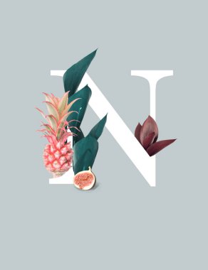 Beyaz harf N pembe ananas, incir ve yeşil yaprakları gri üzerinde izole
