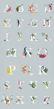 multicolored bright letters with plants and flowers isolated on grey, English alphabet  clipart