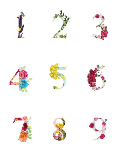 Multicolored Bright Numbers Plants Flowers Isolated White — Stock Photo, Image