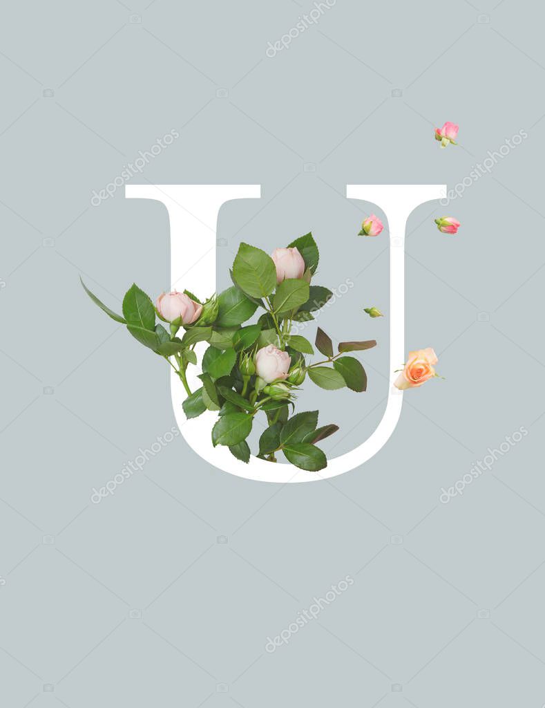 White letter U with roses and green leaves isolated on grey