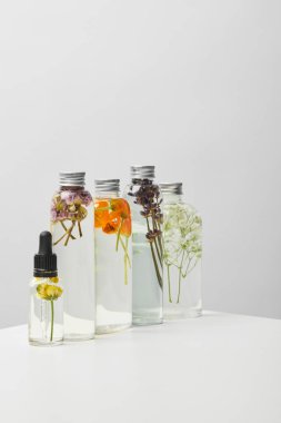 gri izole beyaz masada arka arkaya otlar ve kır çiçekleri ile şişelerde organik güzellik ürünleri 