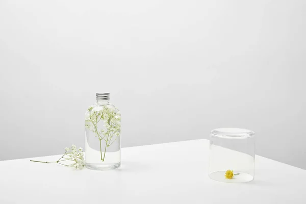 Bottle Natural Beauty Product White Wildflowers Grey Background — Stock Photo, Image