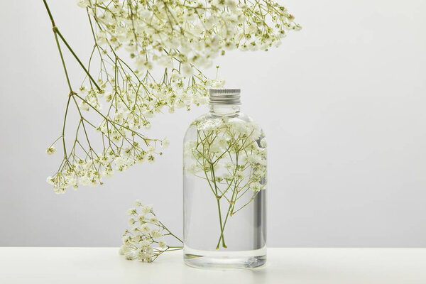 natural beauty product in transparent bottle and white wildflowers on grey background