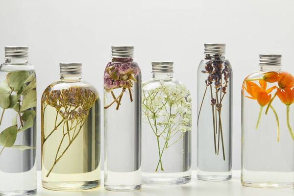 different organic beauty products in transparent bottles with herbs and flowers isolated on grey 