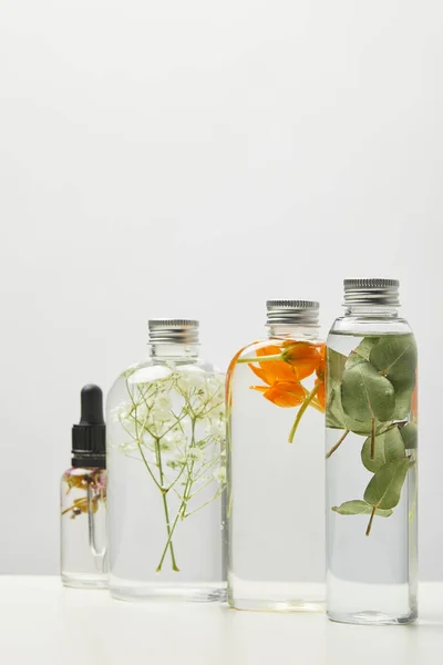 不同的有机美容产品在透明瓶与草药和野花隔离在灰色 — 图库照片