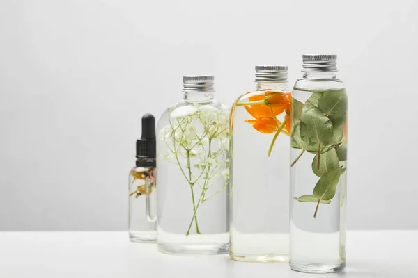 Organic Beauty Products Transparent Bottles Herbs Wildflowers Isolated Grey — Stock Photo, Image