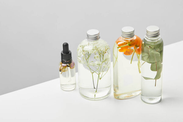 organic beauty products in transparent bottles with herbs, leaves and wildflowers isolated on grey 