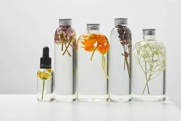 Produtos Beleza Orgânicos Garrafas Transparentes Com Ervas Flores Silvestres Dispostas — Fotografia de Stock