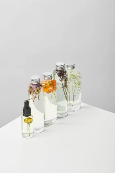 Organic Beauty Products Transparent Bottles Herbs Wildflowers White Table Isolated — Stock Photo, Image