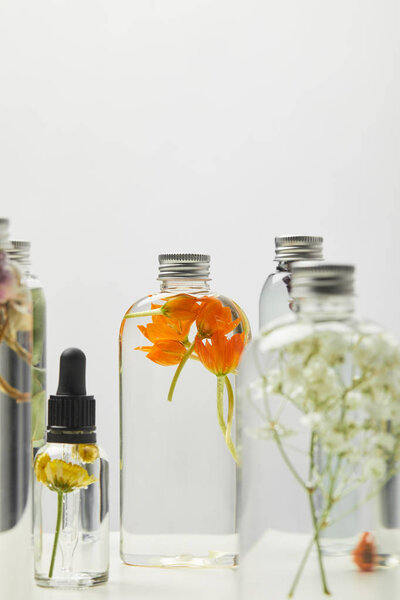 selective focus of natural beauty products in bottles with herbs and wildflowers isolated on grey 