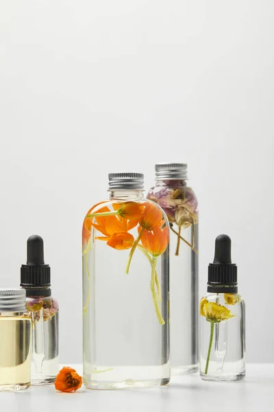 Productos Belleza Orgánicos Frescos Botellas Con Hierbas Flores Silvestres Aisladas —  Fotos de Stock