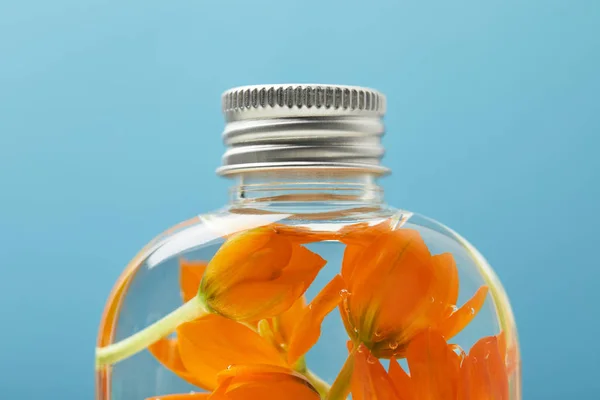 Close Organic Beauty Product Orange Flowers Bottle Isolated Blue — Stock Photo, Image