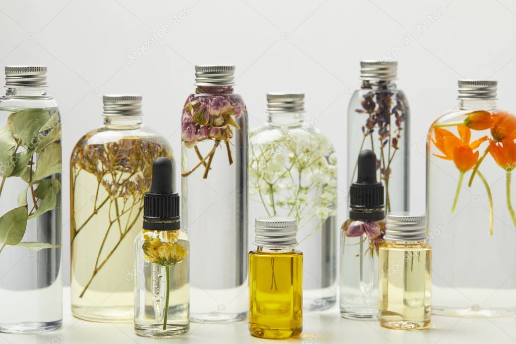 different organic beauty products in bottles with herbs and flowers isolated on grey 