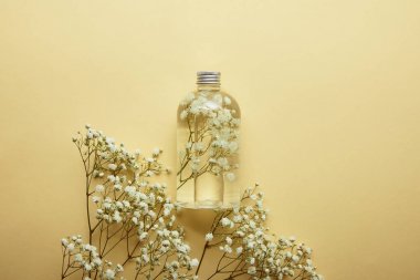 sarı arka plan üzerinde kurutulmuş beyaz kır çiçekleri yakın organik güzellik ürünü ile şişe üst görünümü 