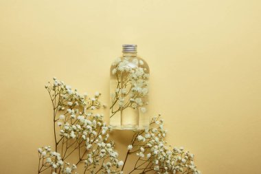 top view of bottle with organic beauty product near dried white wildflowers on yellow background  clipart