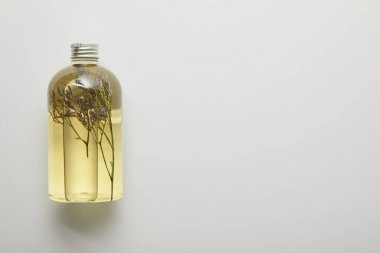 doğal sıvı güzellik ürünü ve kopya alanı ile gri arka plan içinde kurutulmuş kır çiçekleri ile şeffaf şişe üst görünümü