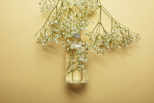 top view of bottle with natural beauty product near dried white wildflowers on yellow background 