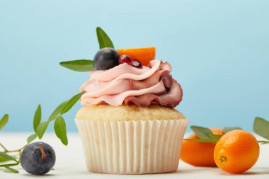 beyaz yüzeyüzerinde krem ve kumquats ile lezzetli cupcake mavi izole
