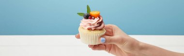 mavi izole meyve ve krem ile cupcake tutan kadın panoramik çekim