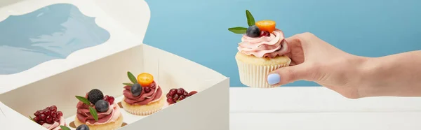 Panoráma Lövés Gazdaság Cupcake Gyümölcsök Tejszín Izolált Kék — Stock Fotó