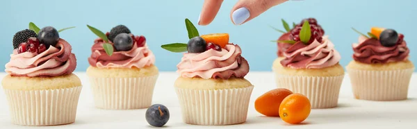 Panoramic Shot Woman Cupcakes Isolated Blue — Stock Photo, Image