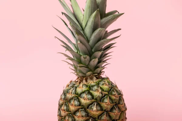 Sladký Čerstvý Chutný Surový Ananas Zelenými Listy Izolované Růžovém — Stock fotografie