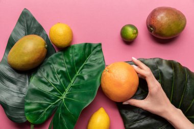 pembe arka plan üzerinde yeşil yaprakları ile bütün olgun tropikal meyve yakınında greyfurt tutan kadın kırpılmış görünümü