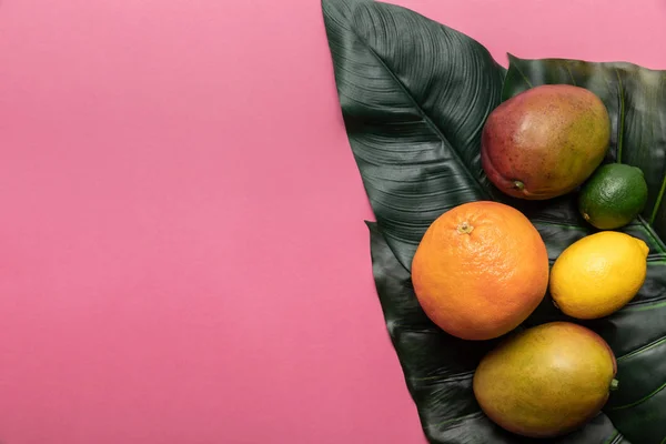 Topputsikt Över Hela Mogna Tropiska Citrusfrukter Och Mango Gröna Blad — Stockfoto