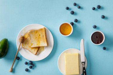 avokado, tereyağı, bal, reçel, dağınık yaban mersini ve mavi arka plan üzerinde beyaz tabaklar üzerinde iki tost üst görünümü