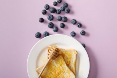 bal ile tost üst görünümü, beyaz plaka ve mor arka plan üzerinde dağınık yaban mersini üzerinde ahşap dipper