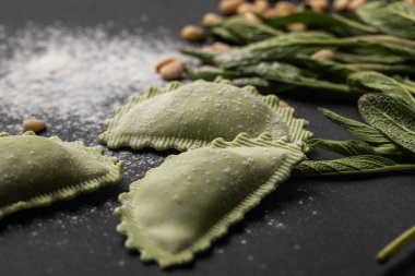 siyah masada adaçayı, un ve çam fıstığı yakın yeşil ravioli seçici odak