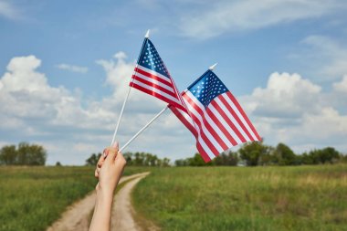 Cropped view of young woman holding american flags in hand on field background clipart