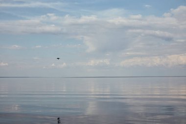 Beyaz bulutlarla mavi huzurlu gökyüzünde nehir kenarında uçan kuş